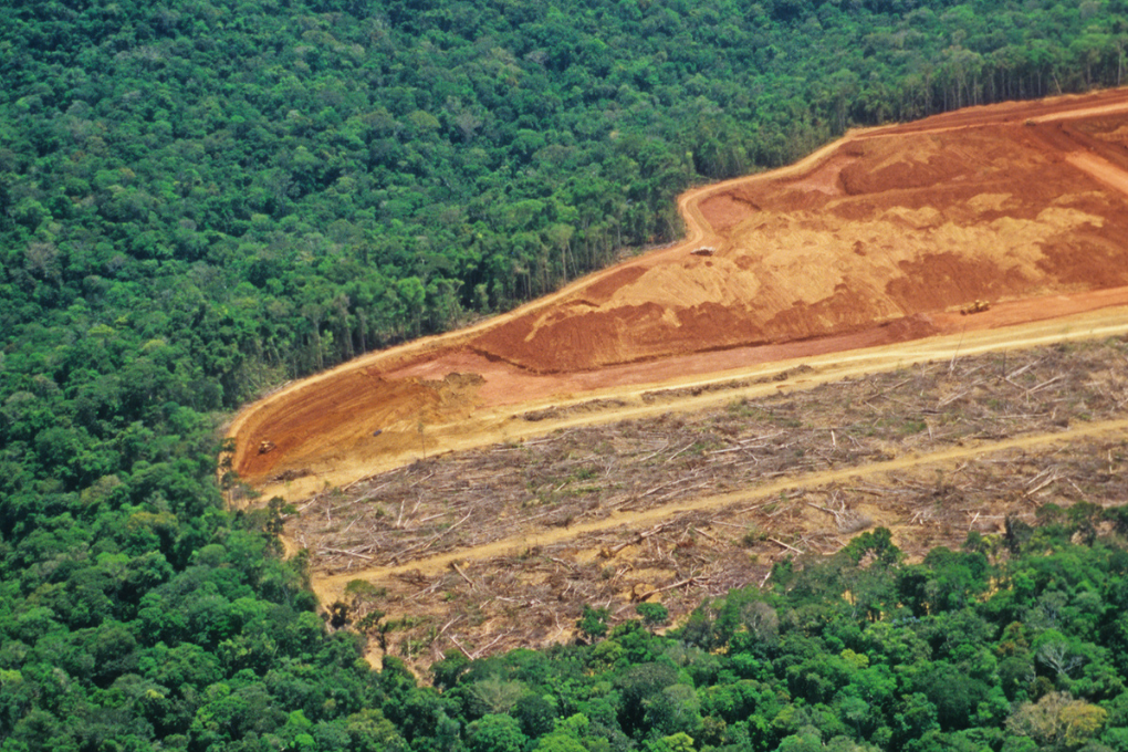 Un nouvel Observatoire de l&rsquo;UE sur la déforestation et la dégradation des forêts dans le monde est désormais disponible en ligne