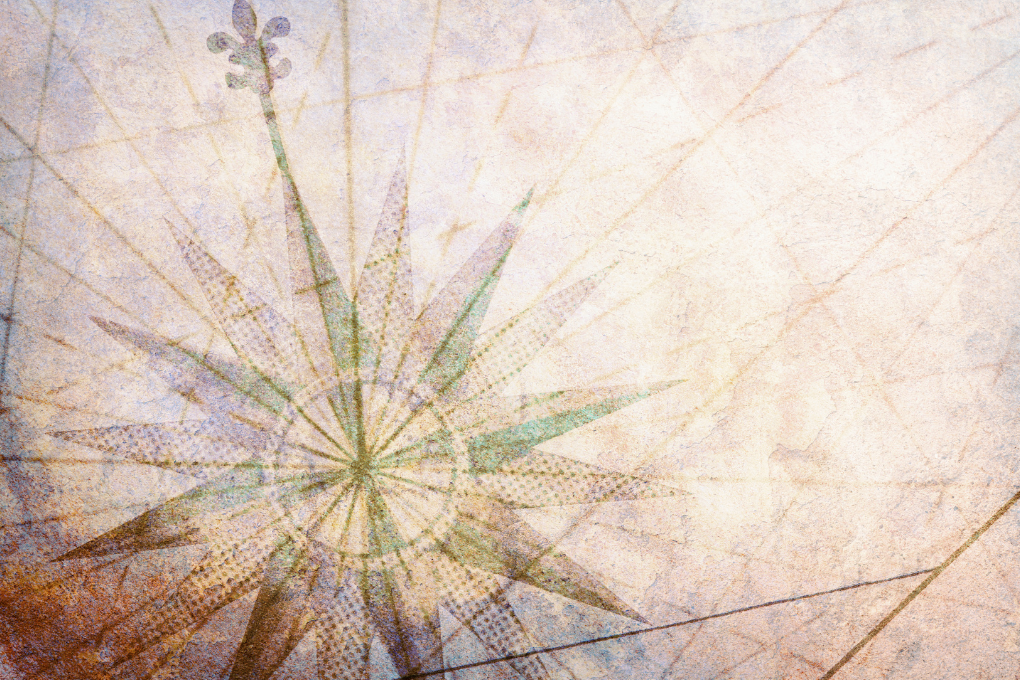 Une carte pour faciliter la recherche de missions à l&rsquo;étranger