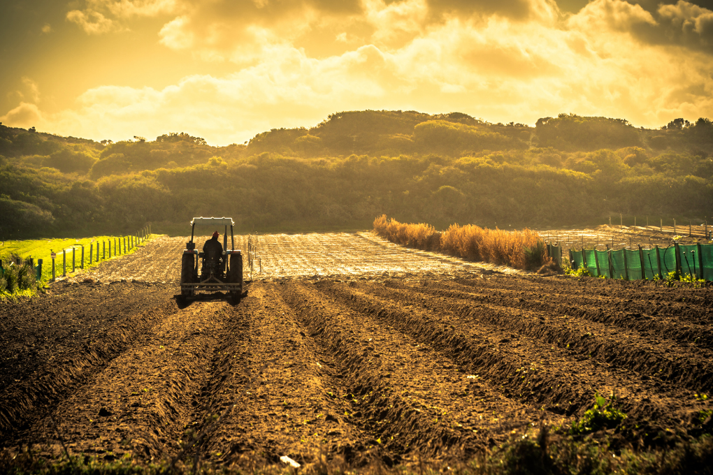 La Commission propose une révision ciblée de la politique agricole commune