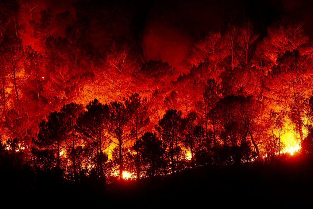 La saison des incendies de forêt de 2023 parmi les pires de l’UE