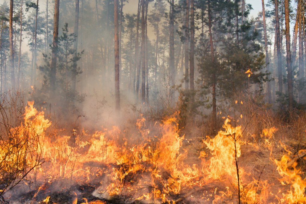 L&rsquo;UE renforce sa préparation à l&rsquo;approche de la saison des incendies de forêt 2024