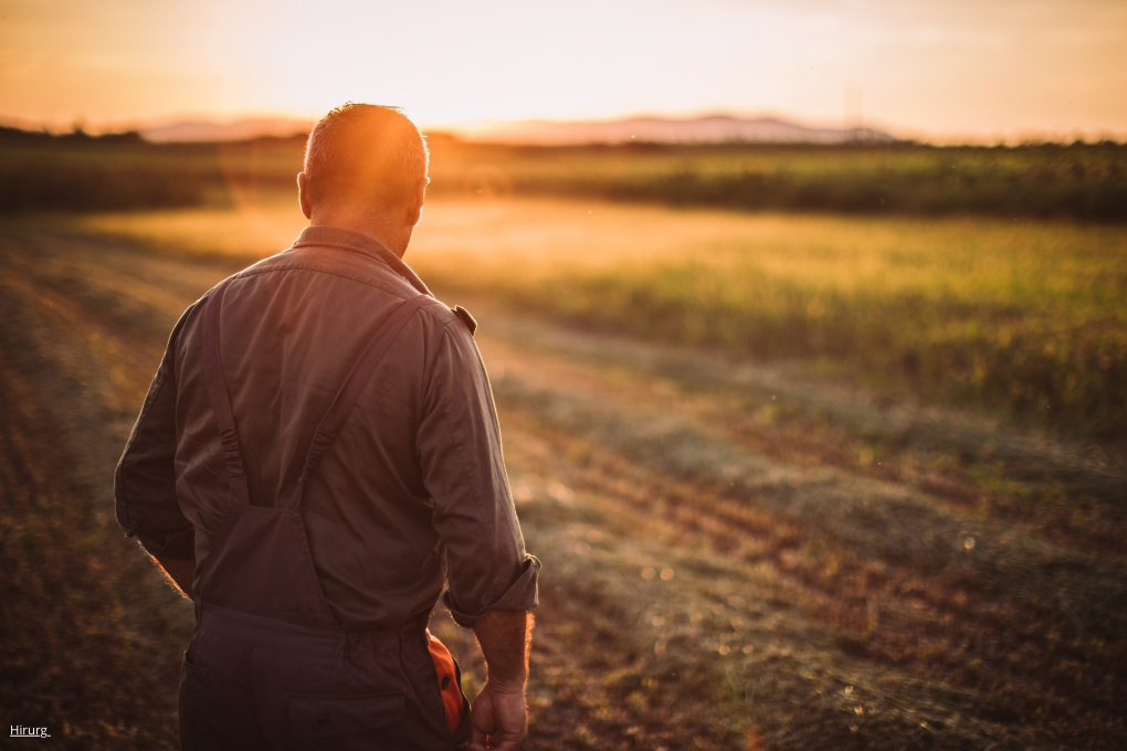 Accord UE-Mercosur :  la Commission propose des garanties pour renforcer la protection des agriculteurs