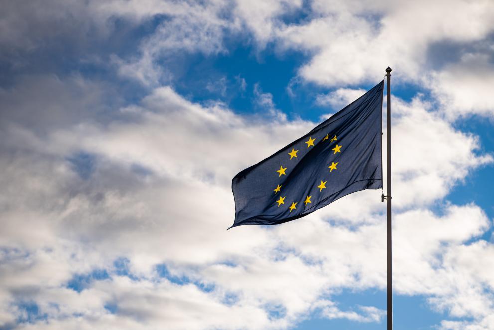 Webinaire « Développement des réseaux de chaleur en Europe – Réglementation, opportunités et bonnes pratiques »