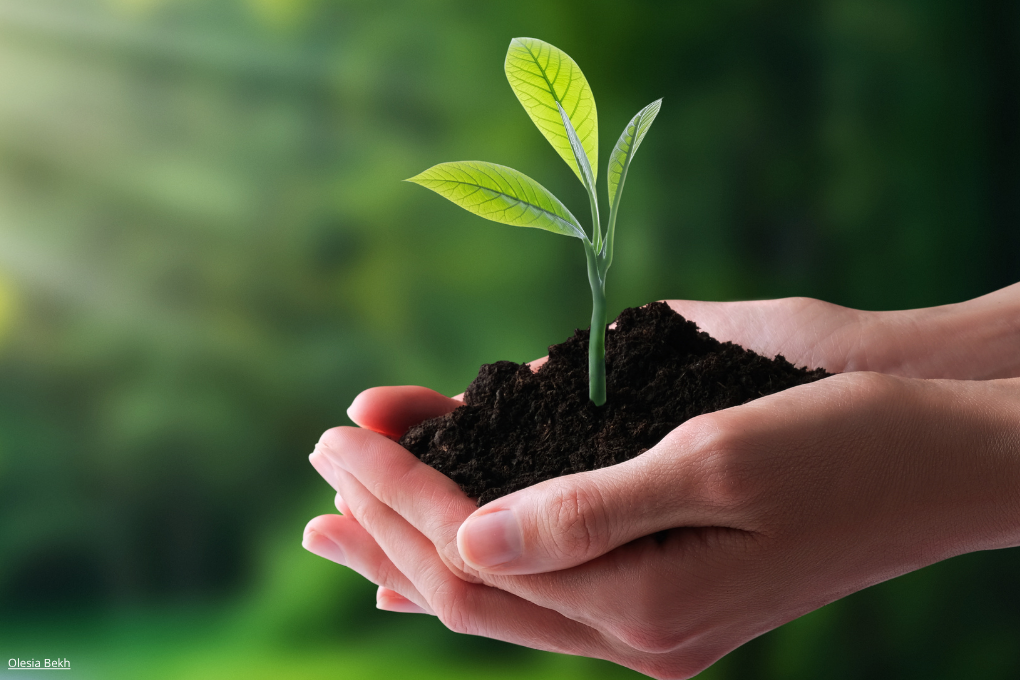 COP30 : Les députés veulent maintenir l’ambition de la politique climatique européenne